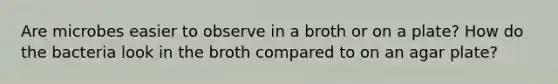 Are microbes easier to observe in a broth or on a plate? How do the bacteria look in the broth compared to on an agar plate?