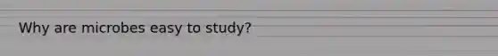 Why are microbes easy to study?