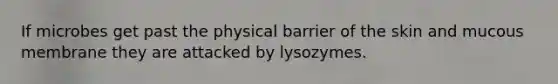 If microbes get past the physical barrier of the skin and mucous membrane they are attacked by lysozymes.