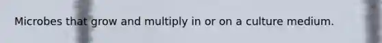 Microbes that grow and multiply in or on a culture medium.