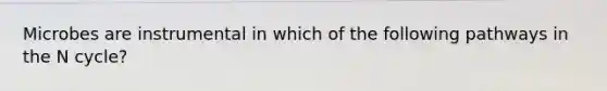 Microbes are instrumental in which of the following pathways in the N cycle?