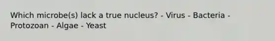 Which microbe(s) lack a true nucleus? - Virus - Bacteria - Protozoan - Algae - Yeast