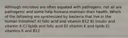 Although microbes are often equated with pathogens, not all are pathogenic and some help humans maintain their health. Which of the following are synthesized by bacteria that live in the human intestine? A) folic acid and vitamin B12 B) insulin and vitamin K C) lipids and folic acid D) vitamin K and lipids E) vitamins K and B12