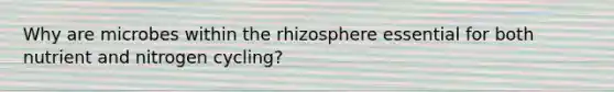 Why are microbes within the rhizosphere essential for both nutrient and nitrogen cycling?