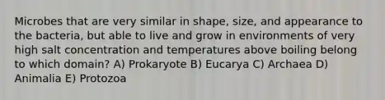 Microbes that are very similar in shape, size, and appearance to the bacteria, but able to live and grow in environments of very high salt concentration and temperatures above boiling belong to which domain? A) Prokaryote B) Eucarya C) Archaea D) Animalia E) Protozoa