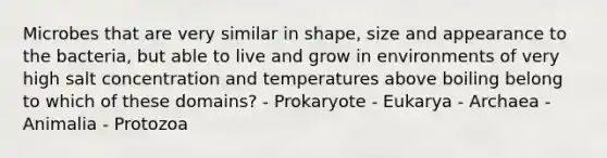 Microbes that are very similar in shape, size and appearance to the bacteria, but able to live and grow in environments of very high salt concentration and temperatures above boiling belong to which of these domains? - Prokaryote - Eukarya - Archaea - Animalia - Protozoa