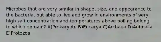 Microbes that are very similar in shape, size, and appearance to the bacteria, but able to live and grow in environments of very high salt concentration and temperatures above boiling belong to which domain? A)Prokaryote B)Eucarya C)Archaea D)Animalia E)Protozoa