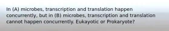 In (A) microbes, transcription and translation happen concurrently, but in (B) microbes, transcription and translation cannot happen concurrently. Eukayotic or Prokaryote?