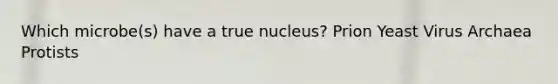 Which microbe(s) have a true nucleus? Prion Yeast Virus Archaea Protists