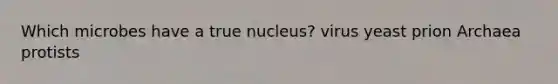 Which microbes have a true nucleus? virus yeast prion Archaea protists