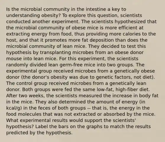 Is the microbial community in the intestine a key to understanding obesity? To explore this question, scientists conducted another experiment. The scientists hypothesized that the microbial community of obese mice is more efficient at extracting energy from food, thus providing more calories to the host, and that it promotes more fat deposition than does the microbial community of lean mice. They decided to test this hypothesis by transplanting microbes from an obese donor mouse into lean mice. For this experiment, the scientists randomly divided lean germ-free mice into two groups. The experimental group received microbes from a genetically obese donor (the donor's obesity was due to genetic factors, not diet). The control group received microbes from a genetically lean donor. Both groups were fed the same low-fat, high-fiber diet. After two weeks, the scientists measured the increase in body fat in the mice. They also determined the amount of energy (in kcal/g) in the feces of both groups -- that is, the energy in the food molecules that was not extracted or absorbed by the mice. What experimental results would support the scientists' hypothesis? Label the bars on the graphs to match the results predicted by the hypothesis.