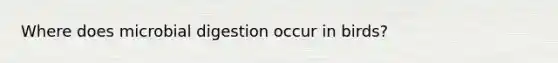 Where does microbial digestion occur in birds?