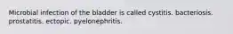 Microbial infection of the bladder is called cystitis. bacteriosis. prostatitis. ectopic. pyelonephritis.