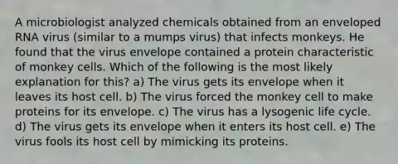 A microbiologist analyzed chemicals obtained from an enveloped RNA virus (similar to a mumps virus) that infects monkeys. He found that the virus envelope contained a protein characteristic of monkey cells. Which of the following is the most likely explanation for this? a) The virus gets its envelope when it leaves its host cell. b) The virus forced the monkey cell to make proteins for its envelope. c) The virus has a lysogenic life cycle. d) The virus gets its envelope when it enters its host cell. e) The virus fools its host cell by mimicking its proteins.