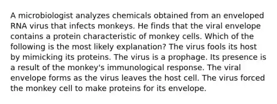 A microbiologist analyzes chemicals obtained from an enveloped RNA virus that infects monkeys. He finds that the viral envelope contains a protein characteristic of monkey cells. Which of the following is the most likely explanation? The virus fools its host by mimicking its proteins. The virus is a prophage. Its presence is a result of the monkey's immunological response. The viral envelope forms as the virus leaves the host cell. The virus forced the monkey cell to make proteins for its envelope.