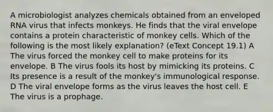 A microbiologist analyzes chemicals obtained from an enveloped RNA virus that infects monkeys. He finds that the viral envelope contains a protein characteristic of monkey cells. Which of the following is the most likely explanation? (eText Concept 19.1) A The virus forced the monkey cell to make proteins for its envelope. B The virus fools its host by mimicking its proteins. C Its presence is a result of the monkey's immunological response. D The viral envelope forms as the virus leaves the host cell. E The virus is a prophage.