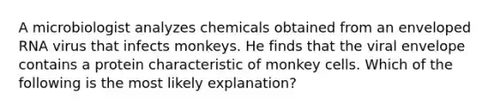 A microbiologist analyzes chemicals obtained from an enveloped RNA virus that infects monkeys. He finds that the viral envelope contains a protein characteristic of monkey cells. Which of the following is the most likely explanation?