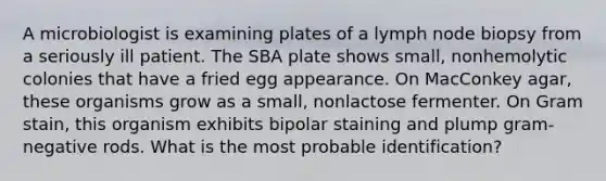 A microbiologist is examining plates of a lymph node biopsy from a seriously ill patient. The SBA plate shows small, nonhemolytic colonies that have a fried egg appearance. On MacConkey agar, these organisms grow as a small, nonlactose fermenter. On Gram stain, this organism exhibits bipolar staining and plump gram-negative rods. What is the most probable identification?