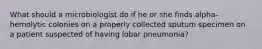 What should a microbiologist do if he or she finds alpha-hemolytic colonies on a properly collected sputum specimen on a patient suspected of having lobar pneumonia?