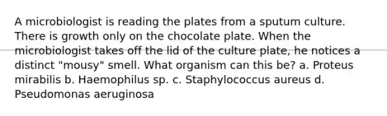 A microbiologist is reading the plates from a sputum culture. There is growth only on the chocolate plate. When the microbiologist takes off the lid of the culture plate, he notices a distinct "mousy" smell. What organism can this be? a. Proteus mirabilis b. Haemophilus sp. c. Staphylococcus aureus d. Pseudomonas aeruginosa