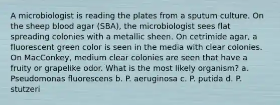 A microbiologist is reading the plates from a sputum culture. On the sheep blood agar (SBA), the microbiologist sees flat spreading colonies with a metallic sheen. On cetrimide agar, a fluorescent green color is seen in the media with clear colonies. On MacConkey, medium clear colonies are seen that have a fruity or grapelike odor. What is the most likely organism? a. Pseudomonas fluorescens b. P. aeruginosa c. P. putida d. P. stutzeri