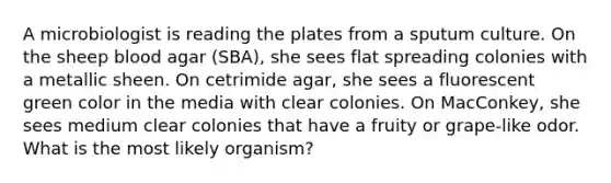 A microbiologist is reading the plates from a sputum culture. On the sheep blood agar (SBA), she sees flat spreading colonies with a metallic sheen. On cetrimide agar, she sees a fluorescent green color in the media with clear colonies. On MacConkey, she sees medium clear colonies that have a fruity or grape-like odor. What is the most likely organism?