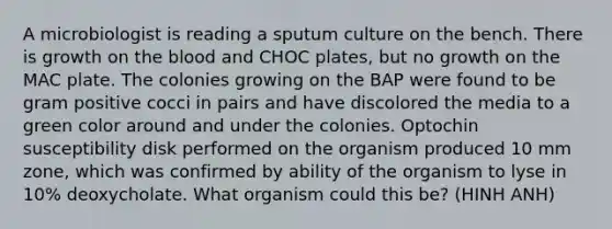 A microbiologist is reading a sputum culture on the bench. There is growth on the blood and CHOC plates, but no growth on the MAC plate. The colonies growing on the BAP were found to be gram positive cocci in pairs and have discolored the media to a green color around and under the colonies. Optochin susceptibility disk performed on the organism produced 10 mm zone, which was confirmed by ability of the organism to lyse in 10% deoxycholate. What organism could this be? (HINH ANH)