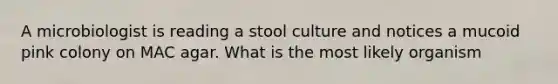 A microbiologist is reading a stool culture and notices a mucoid pink colony on MAC agar. What is the most likely organism