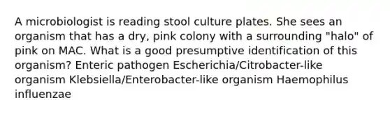 A microbiologist is reading stool culture plates. She sees an organism that has a dry, pink colony with a surrounding "halo" of pink on MAC. What is a good presumptive identification of this organism? Enteric pathogen Escherichia/Citrobacter-like organism Klebsiella/Enterobacter-like organism Haemophilus influenzae