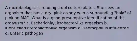 A microbiologist is reading stool culture plates. She sees an organism that has a dry, pink colony with a surrounding "halo" of pink on MAC. What is a good presumptive identification of this organism? a. Escherichia/Citrobacter-like organism b. Klebsiella/Enterobacter-like organism c. Haemophilus influenzae d. Enteric pathogen