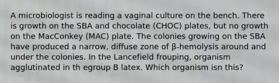 A microbiologist is reading a vaginal culture on the bench. There is growth on the SBA and chocolate (CHOC) plates, but no growth on the MacConkey (MAC) plate. The colonies growing on the SBA have produced a narrow, diffuse zone of β-hemolysis around and under the colonies. In the Lancefield frouping, organism agglutinated in th egroup B latex. Which organism isn this?