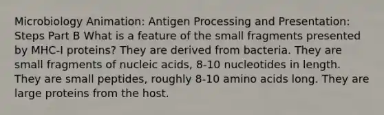 Microbiology Animation: Antigen Processing and Presentation: Steps Part B What is a feature of the small fragments presented by MHC-I proteins? They are derived from bacteria. They are small fragments of nucleic acids, 8-10 nucleotides in length. They are small peptides, roughly 8-10 amino acids long. They are large proteins from the host.