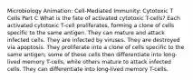 Microbiology Animation: Cell-Mediated Immunity: Cytotoxic T Cells Part C What is the fate of activated cytotoxic T-cells? Each activated cytotoxic T-cell proliferates, forming a clone of cells specific to the same antigen. They can mature and attack infected cells. They are infected by viruses. They are destroyed via apoptosis. They proliferate into a clone of cells specific to the same antigen; some of these cells then differentiate into long-lived memory T-cells, while others mature to attack infected cells. They can differentiate into long-lived memory T-cells.