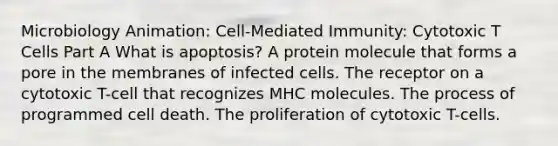 Microbiology Animation: Cell-Mediated Immunity: Cytotoxic T Cells Part A What is apoptosis? A protein molecule that forms a pore in the membranes of infected cells. The receptor on a cytotoxic T-cell that recognizes MHC molecules. The process of programmed cell death. The proliferation of cytotoxic T-cells.