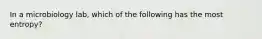 In a microbiology lab, which of the following has the most entropy?