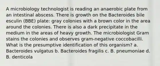 A microbiology technologist is reading an anaerobic plate from an intestinal abscess. There is growth on the Bacteroides bile esculin (BBE) plate: gray colonies with a brown color in the area around the colonies. There is also a dark precipitate in the medium in the areas of heavy growth. The microbiologist Gram stains the colonies and observes gram-negative coccobacilli. What is the presumptive identification of this organism? a. Bacteroides vulgatus b. Bacteroides fragilis c. B. pneumoniae d. B. denticola