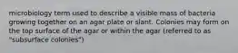 microbiology term used to describe a visible mass of bacteria growing together on an agar plate or slant. Colonies may form on the top surface of the agar or within the agar (referred to as "subsurface colonies")