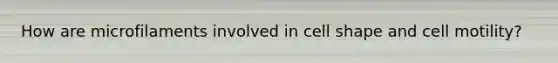 How are microfilaments involved in cell shape and cell motility?