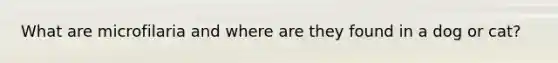 What are microfilaria and where are they found in a dog or cat?
