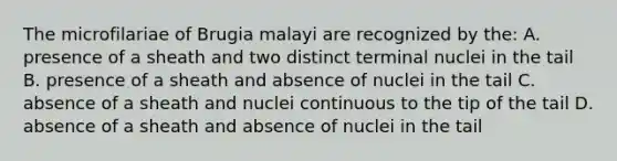 The microfilariae of Brugia malayi are recognized by the: A. presence of a sheath and two distinct terminal nuclei in the tail B. presence of a sheath and absence of nuclei in the tail C. absence of a sheath and nuclei continuous to the tip of the tail D. absence of a sheath and absence of nuclei in the tail