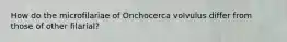 How do the microfilariae of Onchocerca volvulus differ from those of other filarial?