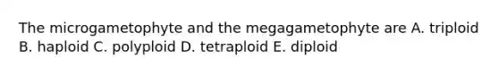 The microgametophyte and the megagametophyte are A. triploid B. haploid C. polyploid D. tetraploid E. diploid