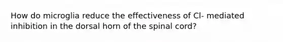 How do microglia reduce the effectiveness of Cl- mediated inhibition in the dorsal horn of the spinal cord?