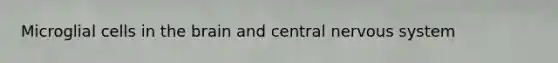 Microglial cells in the brain and central nervous system