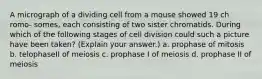 A micrograph of a dividing cell from a mouse showed 19 ch romo- somes, each consisting of two sister chromatids. During which of the following stages of cell division could such a picture have been taken? (Explain your answer.) a. prophase of mitosis b. telophaseII of meiosis c. prophase I of meiosis d. prophase II of meiosis