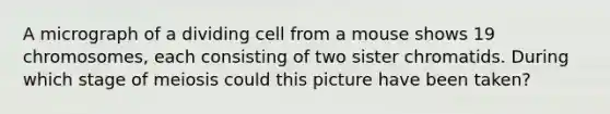 A micrograph of a dividing cell from a mouse shows 19 chromosomes, each consisting of two sister chromatids. During which stage of meiosis could this picture have been taken?