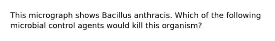 This micrograph shows Bacillus anthracis. Which of the following microbial control agents would kill this organism?