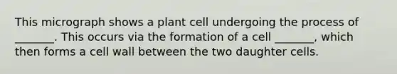 This micrograph shows a plant cell undergoing the process of _______. This occurs via the formation of a cell _______, which then forms a cell wall between the two daughter cells.