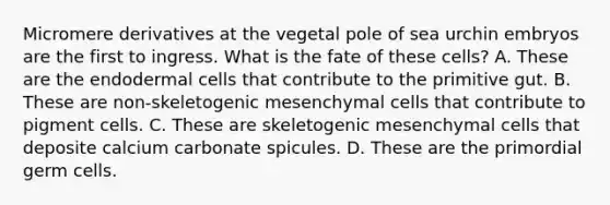 Micromere derivatives at the vegetal pole of sea urchin embryos are the first to ingress. What is the fate of these cells? A. These are the endodermal cells that contribute to the primitive gut. B. These are non-skeletogenic mesenchymal cells that contribute to pigment cells. C. These are skeletogenic mesenchymal cells that deposite calcium carbonate spicules. D. These are the primordial germ cells.