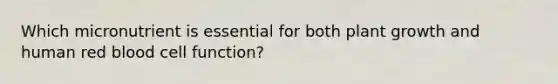 Which micronutrient is essential for both plant growth and human red blood cell function?